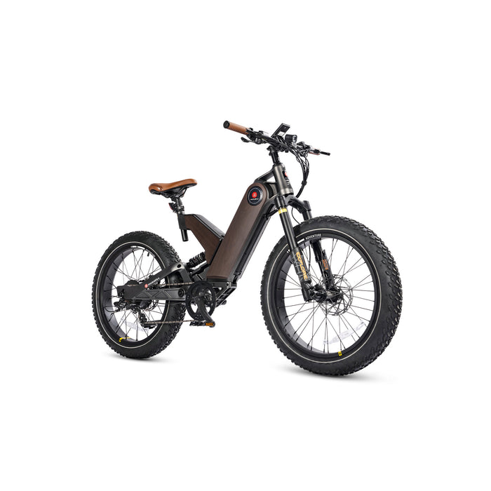 Ant5 e-Bike