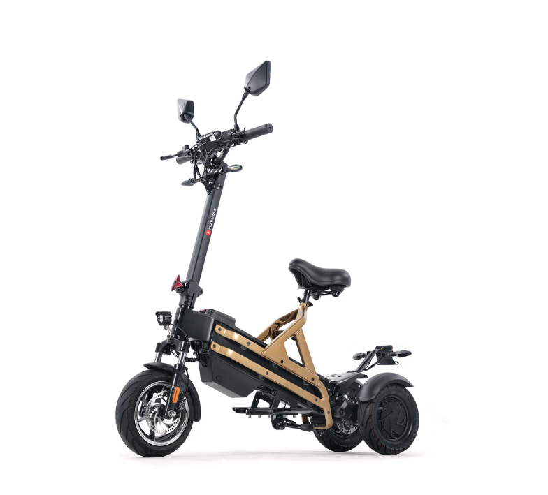 1000W Dual Motor Long Range Three Wheel Electric Scooter（W2）